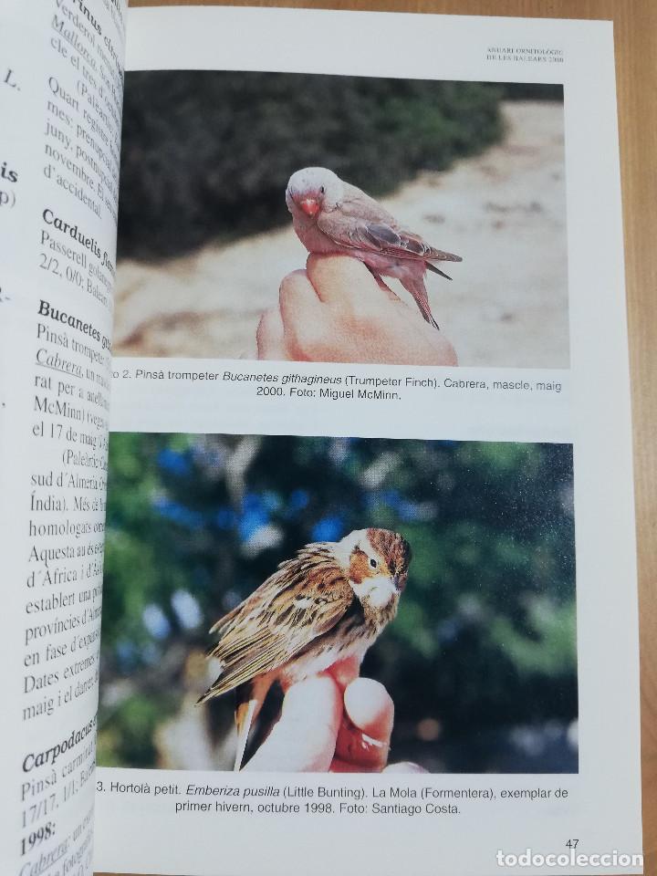 Libros de segunda mano: ANUARI ORNITOL&Ograve;GIC DE LES BALEARS. VOLUM 15 (2000) - Foto 5