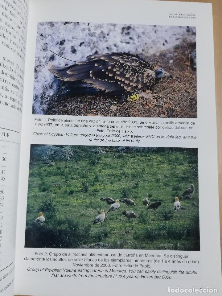 Libros de segunda mano: ANUARI ORNITOL&Ograve;GIC DE LES BALEARS. VOLUM 15 (2000) - Foto 7