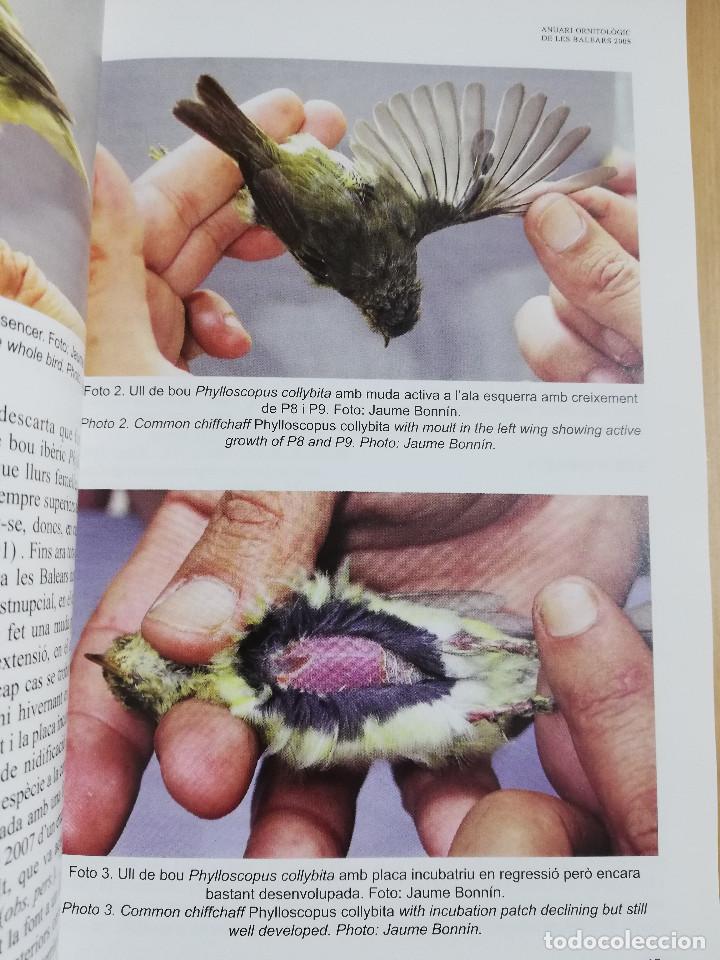 Libros de segunda mano: ANUARI ORNITOL&Ograve;GIC DE LES BALEARS. VOLUM 23 (2008) - Foto 5