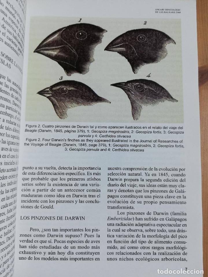 Libros de segunda mano: ANUARI ORNITOL&Ograve;GIC DE LES BALEARS. VOLUM 23 (2008) - Foto 7
