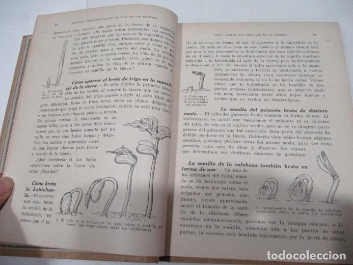 Libros de segunda mano: GEORGE FRANCIS ATKINSON Estudio experimental de la vida de las plantas W6628 - Foto 2