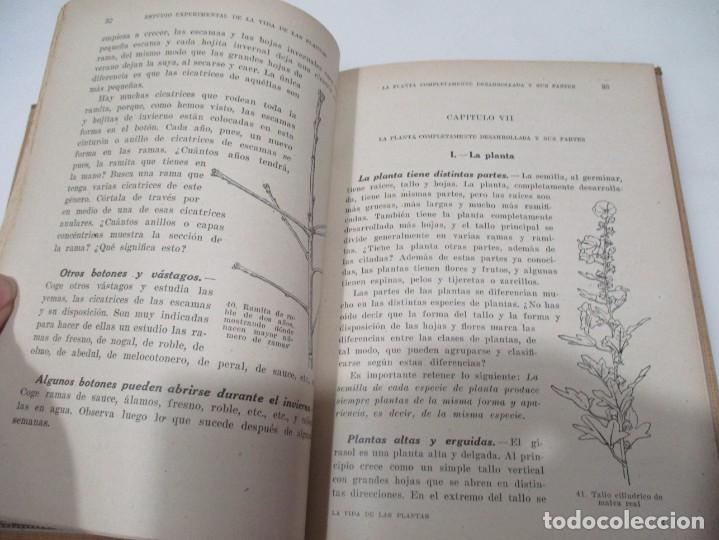Libros de segunda mano: GEORGE FRANCIS ATKINSON Estudio experimental de la vida de las plantas W6628 - Foto 3