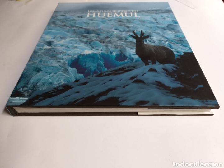 Libros de segunda mano: Los &uacute;ltimos senderos del Huemul - Foto 2