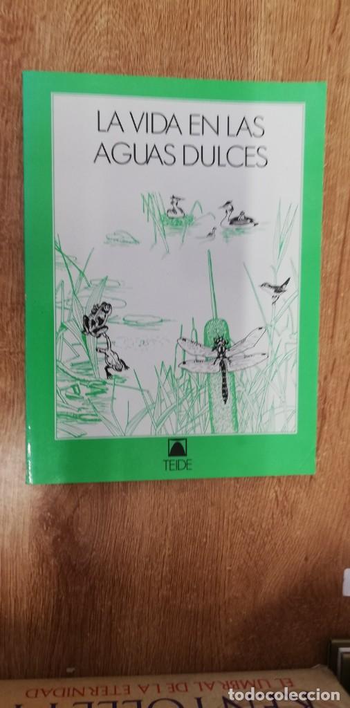 Libros de segunda mano: LA VIDA EN LAS AGUAS DULCES. KONRAD AMMANN. 2&ordf; EDIC. 1987. ED. TEIDE - Foto 1