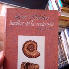 Libros de segunda mano: LOS FÓSILES HUELLAS DE LA EVOLUCIÓN MIGUEL G RAMOS. Lote 257640585