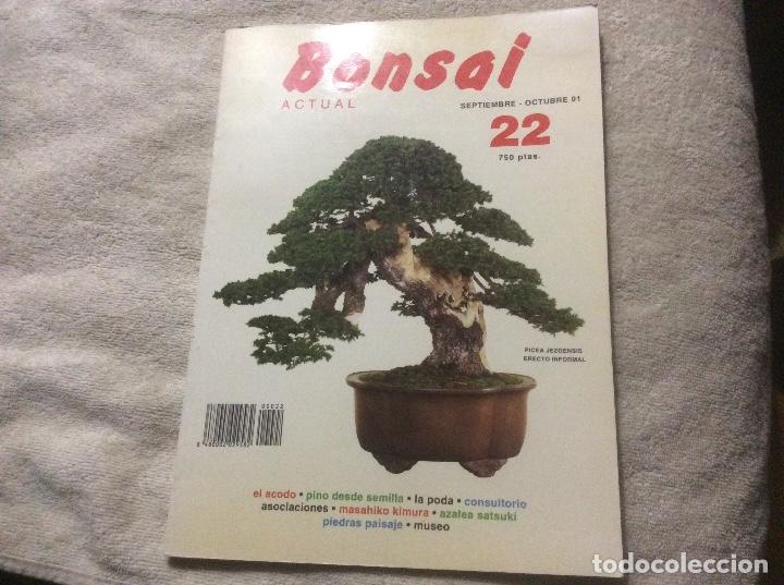 Gebrauchte B&uuml;cher: bonsai actual n&ordm; 22