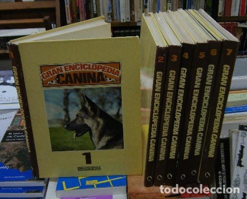 Libros de segunda mano: GRAN ENCICLOPEDIA CANINA. 7 TOMOS. A-ADOMES-013 - Foto 1