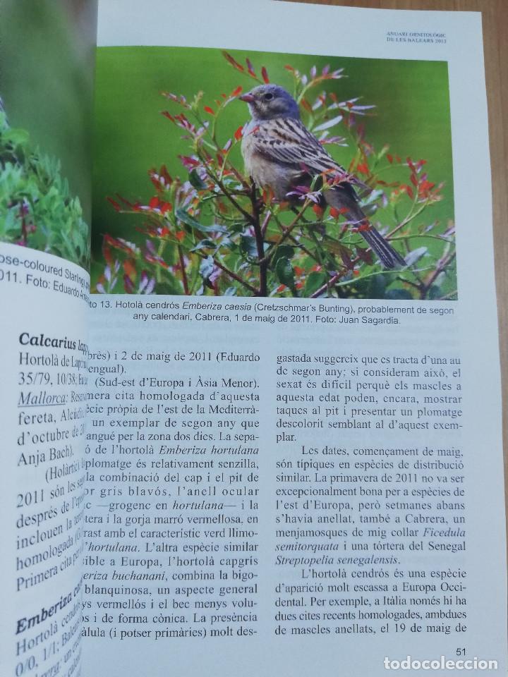 Libros de segunda mano: ANUARI ORNITOL&Ograve;GIC DE LES BALEARS. VOLUM 28 (2013) - Foto 2
