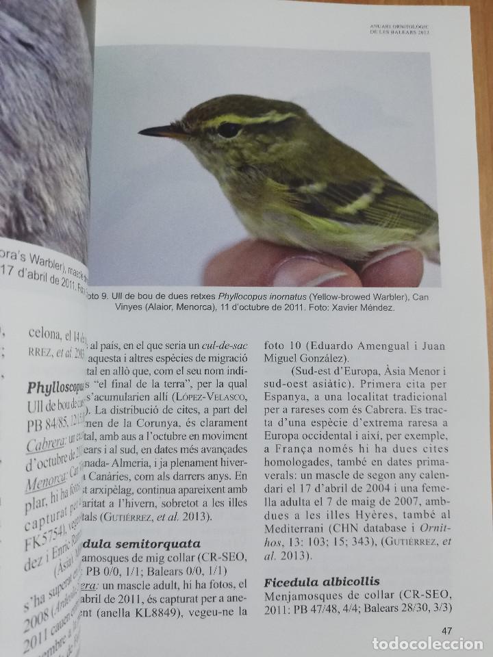 Libros de segunda mano: ANUARI ORNITOL&Ograve;GIC DE LES BALEARS. VOLUM 28 (2013) - Foto 3