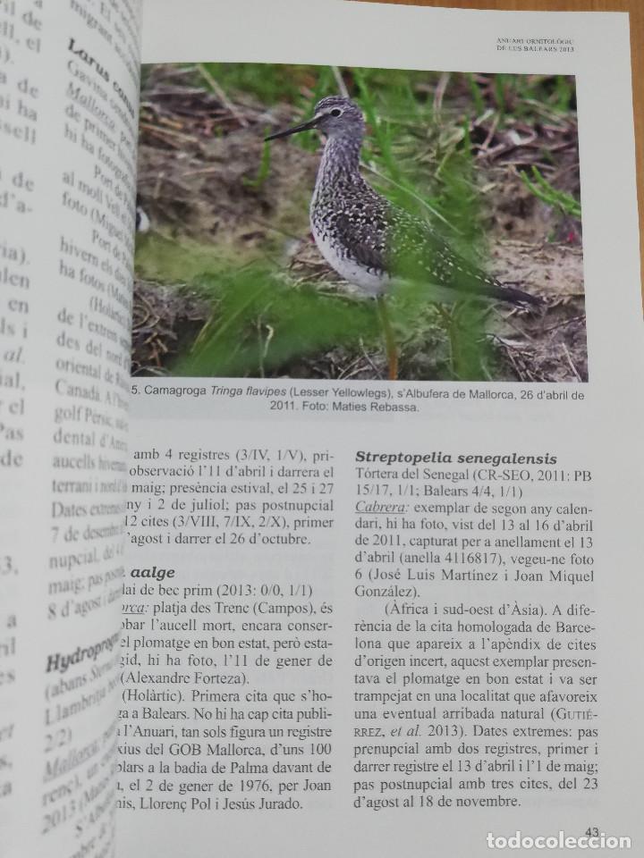 Libros de segunda mano: ANUARI ORNITOL&Ograve;GIC DE LES BALEARS. VOLUM 28 (2013) - Foto 4