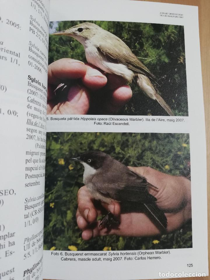 Libros de segunda mano: ANUARI ORNITOL&Ograve;GIC DE LES BALEARS. VOLUM 22 (2007) - Foto 2