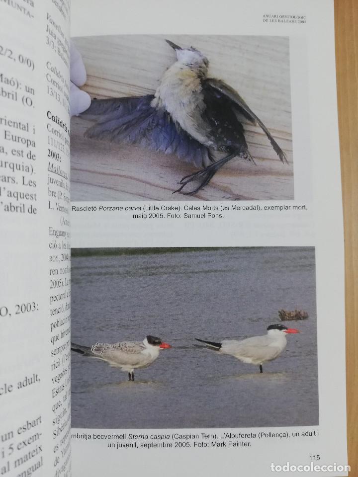 Libros de segunda mano: ANUARI ORNITOL&Ograve;GIC DE LES BALEARS. VOLUM 20 (2005) - Foto 5