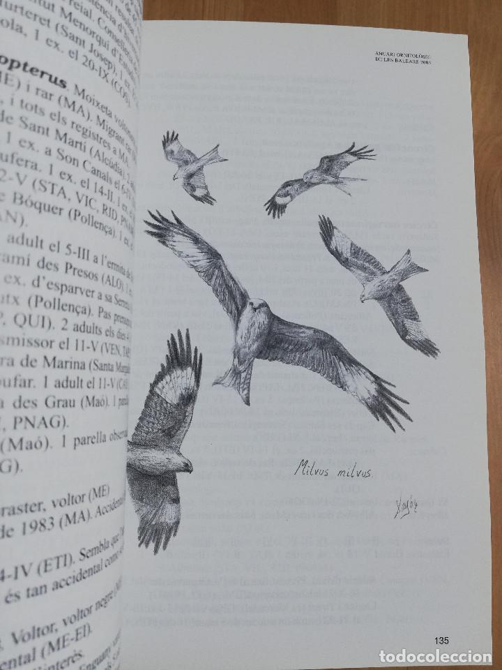 Libros de segunda mano: ANUARI ORNITOL&Ograve;GIC DE LES BALEARS. VOLUM 18 (2003) - Foto 4