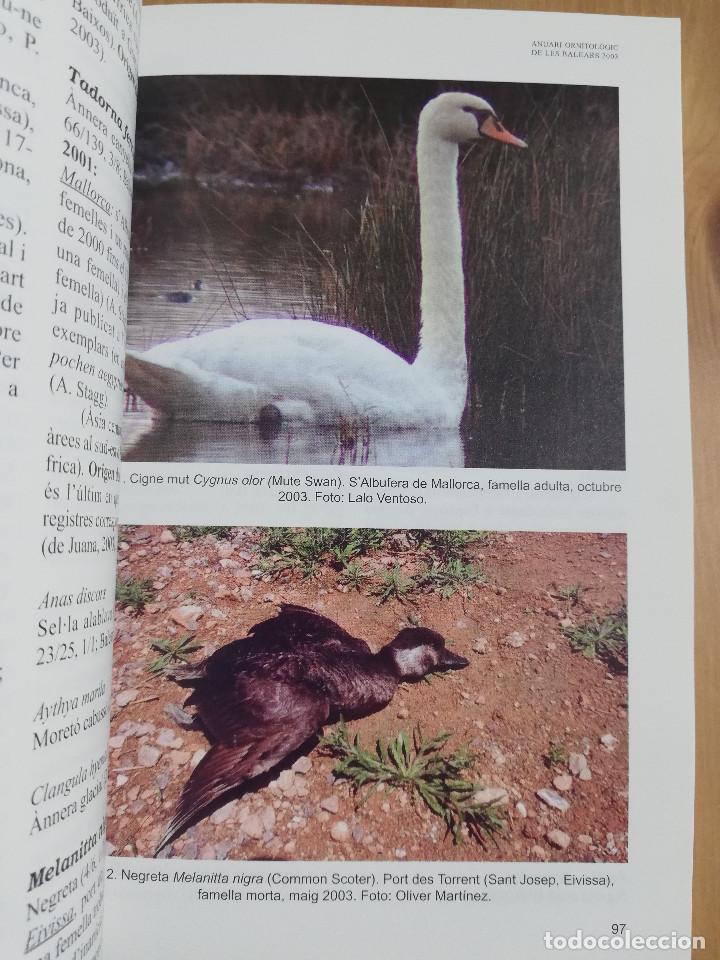 Libros de segunda mano: ANUARI ORNITOL&Ograve;GIC DE LES BALEARS. VOLUM 18 (2003) - Foto 7