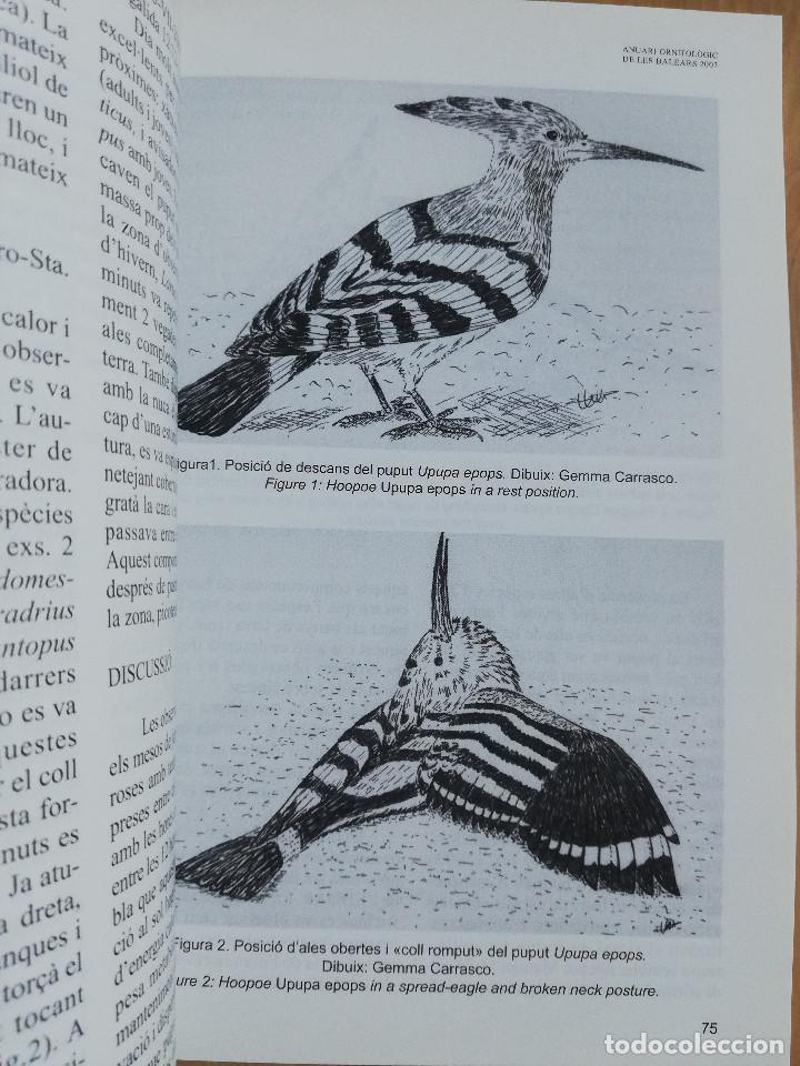 Libros de segunda mano: ANUARI ORNITOL&Ograve;GIC DE LES BALEARS. VOLUM 18 (2003) - Foto 8