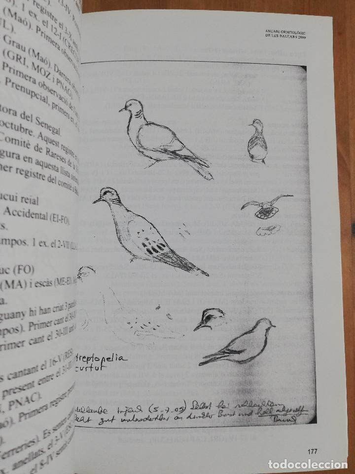 Libros de segunda mano: ANUARI ORNITOL&Ograve;GIC DE LES BALEARS. VOLUM 24 (2009) - Foto 4