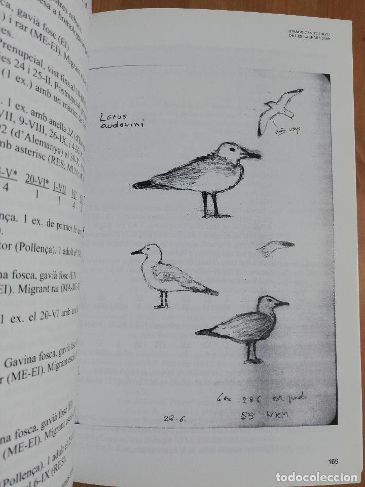 Libros de segunda mano: ANUARI ORNITOL&Ograve;GIC DE LES BALEARS. VOLUM 24 (2009) - Foto 5
