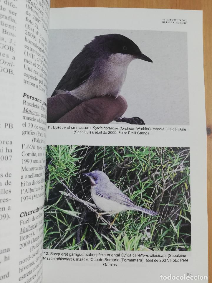 Libros de segunda mano: ANUARI ORNITOL&Ograve;GIC DE LES BALEARS. VOLUM 24 (2009) - Foto 6