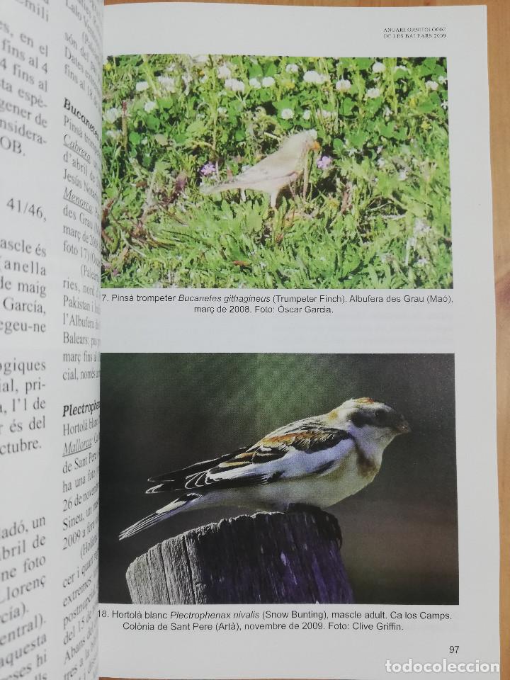 Libros de segunda mano: ANUARI ORNITOL&Ograve;GIC DE LES BALEARS. VOLUM 24 (2009) - Foto 8