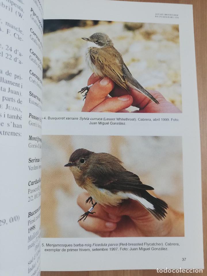 Libros de segunda mano: ANUARI ORNITOL&Ograve;GIC DE LES BALEARS. VOLUM 14 (1999) - Foto 3