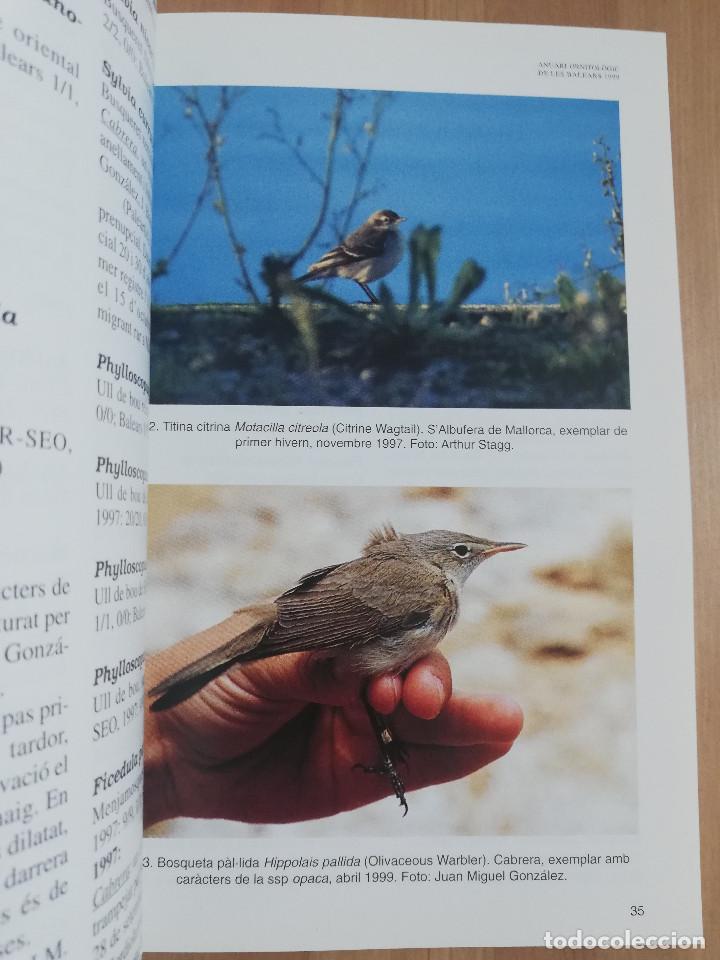 Libros de segunda mano: ANUARI ORNITOL&Ograve;GIC DE LES BALEARS. VOLUM 14 (1999) - Foto 6