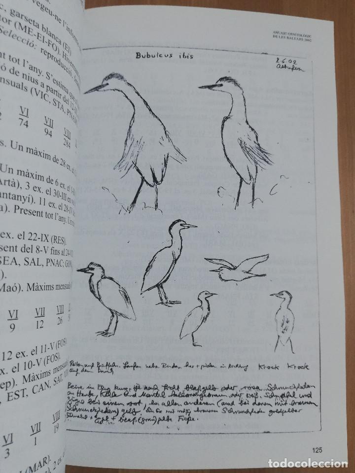 Libros de segunda mano: ANUARI ORNITOL&Ograve;GIC DE LES BALEARS. VOLUM 17 (2002) - Foto 4