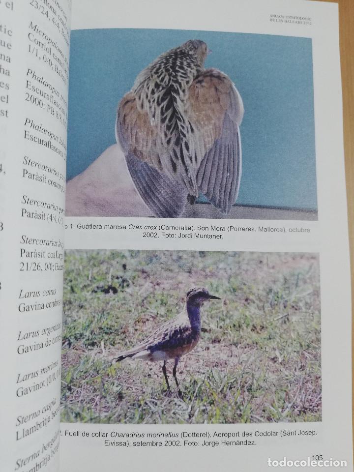 Libros de segunda mano: ANUARI ORNITOL&Ograve;GIC DE LES BALEARS. VOLUM 17 (2002) - Foto 5