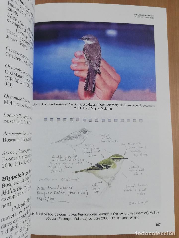 Libros de segunda mano: ANUARI ORNITOL&Ograve;GIC DE LES BALEARS. VOLUM 17 (2002) - Foto 6