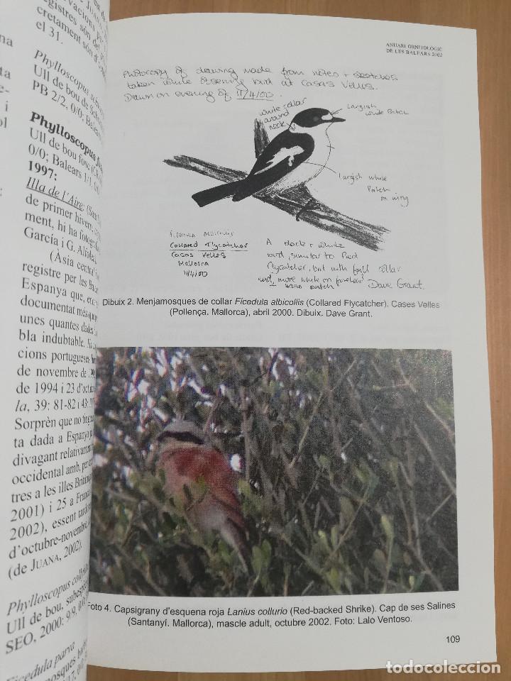 Libros de segunda mano: ANUARI ORNITOL&Ograve;GIC DE LES BALEARS. VOLUM 17 (2002) - Foto 8