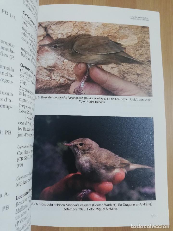 Libros de segunda mano: ANUARI ORNITOL&Ograve;GIC DE LES BALEARS. VOLUM 20 (2005) - Foto 2