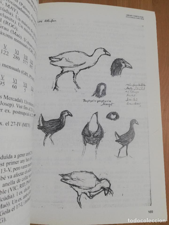Libros de segunda mano: ANUARI ORNITOL&Ograve;GIC DE LES BALEARS. VOLUM 19 (2004) - Foto 2