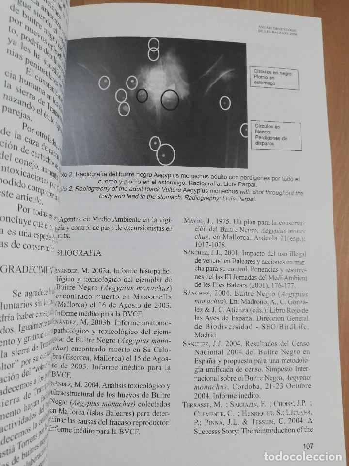 Libros de segunda mano: ANUARI ORNITOL&Ograve;GIC DE LES BALEARS. VOLUM 19 (2004) - Foto 3
