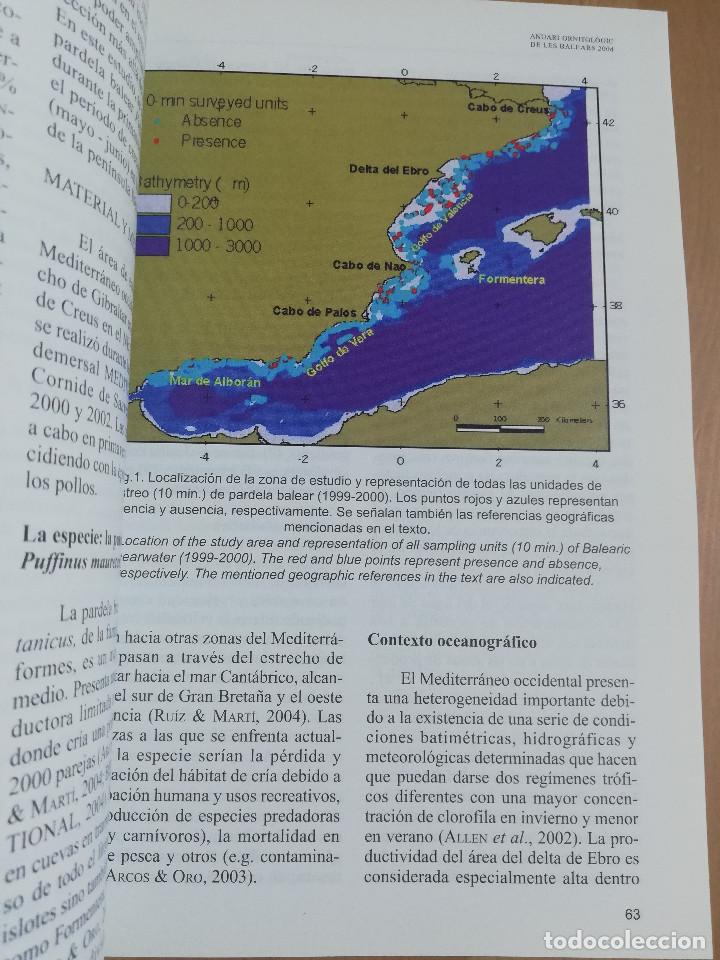 Libros de segunda mano: ANUARI ORNITOL&Ograve;GIC DE LES BALEARS. VOLUM 19 (2004) - Foto 4