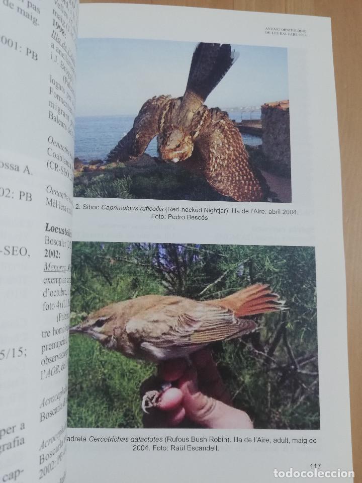 Libros de segunda mano: ANUARI ORNITOL&Ograve;GIC DE LES BALEARS. VOLUM 19 (2004) - Foto 6
