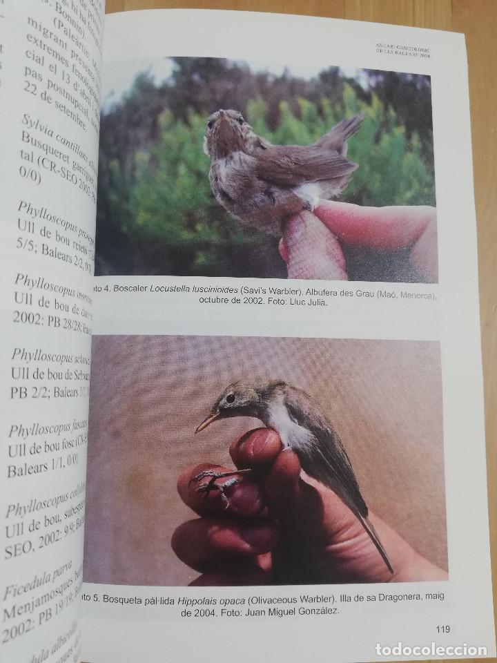 Libros de segunda mano: ANUARI ORNITOL&Ograve;GIC DE LES BALEARS. VOLUM 19 (2004) - Foto 7
