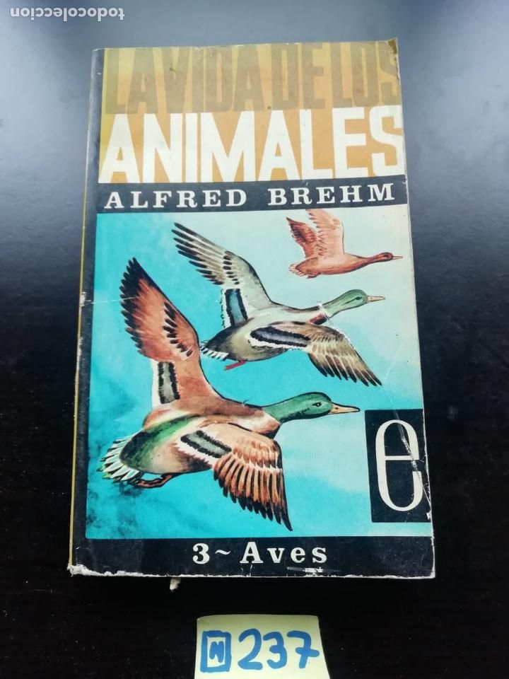 Libros de segunda mano: La vida de los animales - Foto 1