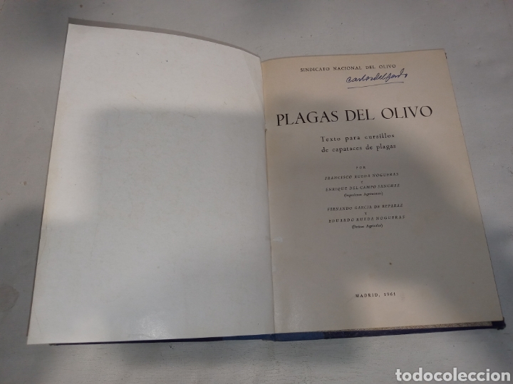 Libros de segunda mano: PLAGAS DEL OLIVO SINDICATO VERTICAL MADRID 1961 - Foto 3 - 259847985