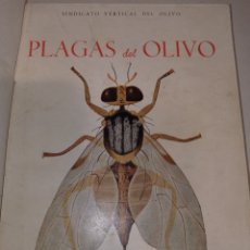 Libros de segunda mano: PLAGAS DEL OLIVO SINDICATO VERTICAL MADRID 1961. Lote 259847985