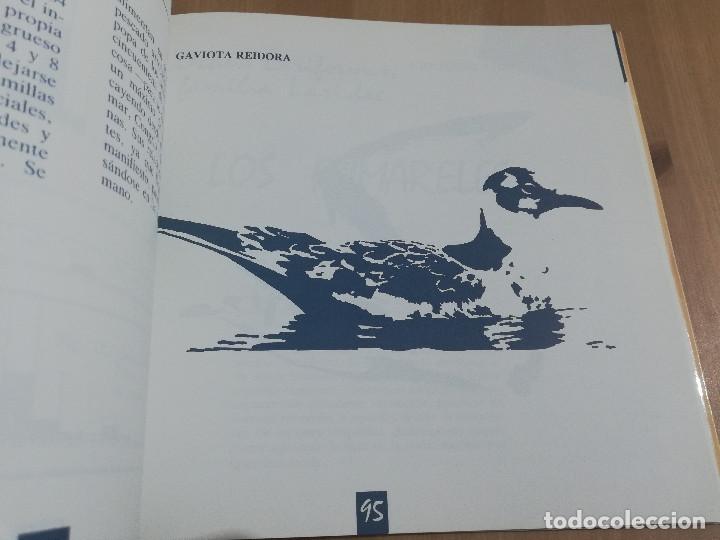 Libros de segunda mano: ALAS EN LA MAR (CARLES CARBONERAS I MALET) - Foto 7