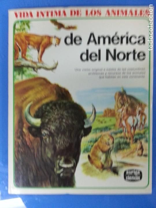 Libros de segunda mano: VIDA INTIMA DE LOS ANIMALES DE AMERICA DEL NORTE - Foto 1