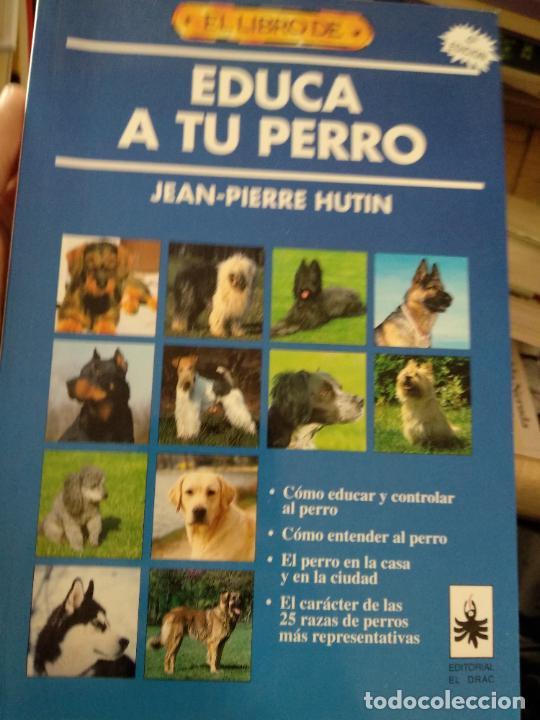 Libros de segunda mano: EL LIBRO DE EDUCA A TU PERRO - Foto 1