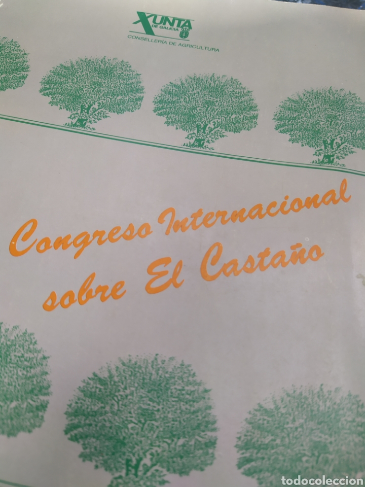Libri di seconda mano: Congreso Internacional sobre el Casta&ntilde;o Lourizan Galicia 429 p&aacute;ginas