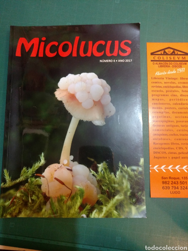 Libri di seconda mano: MICOLUCUS N4 A&Ntilde;O 2017 . PUBLICACI&Oacute;N DE MICOLOG&Iacute;A