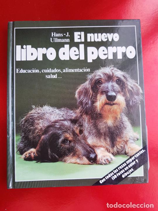 Libros de segunda mano: LIBRO-EL NUEVO LIBRO DEL PERRO-HANS/J.ULLMANN-1988-EXCELENTE-c&iacute;rculo de lectores. - Foto 2