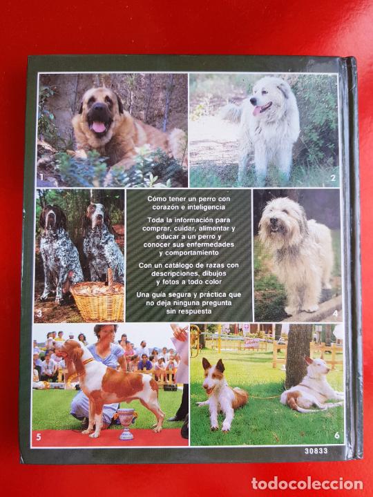Libros de segunda mano: LIBRO-EL NUEVO LIBRO DEL PERRO-HANS/J.ULLMANN-1988-EXCELENTE-c&iacute;rculo de lectores. - Foto 4