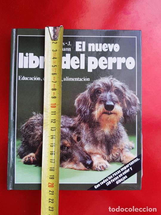 Libros de segunda mano: LIBRO-EL NUEVO LIBRO DEL PERRO-HANS/J.ULLMANN-1988-EXCELENTE-c&iacute;rculo de lectores. - Foto 8