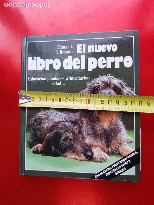 Libros de segunda mano: LIBRO-EL NUEVO LIBRO DEL PERRO-HANS/J.ULLMANN-1988-EXCELENTE-c&iacute;rculo de lectores. - Foto 9
