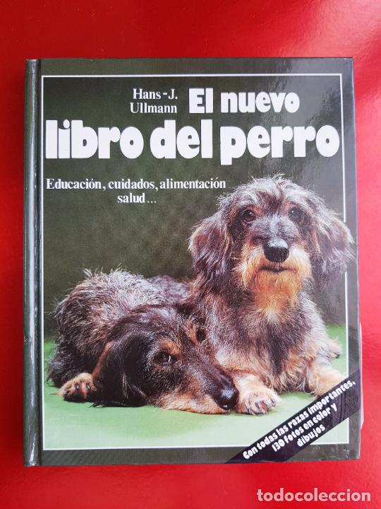 Libros de segunda mano: LIBRO-EL NUEVO LIBRO DEL PERRO-HANS/J.ULLMANN-1988-EXCELENTE-c&iacute;rculo de lectores. - Foto 1