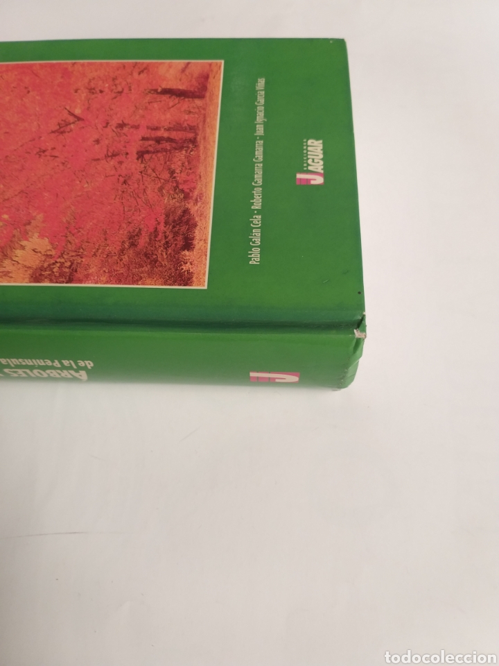 Libros de segunda mano: &Aacute;rboles y arbustos de la Pen&iacute;nsula Ib&eacute;rica e Islas Baleares - Foto 4