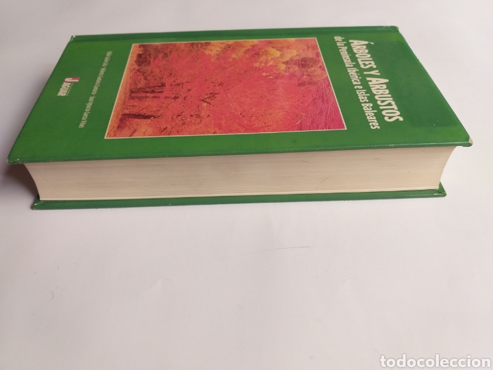 Libros de segunda mano: &Aacute;rboles y arbustos de la Pen&iacute;nsula Ib&eacute;rica e Islas Baleares - Foto 5